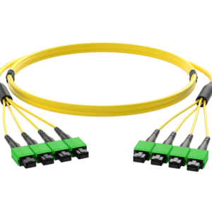 Trunk Cable MTP PRO