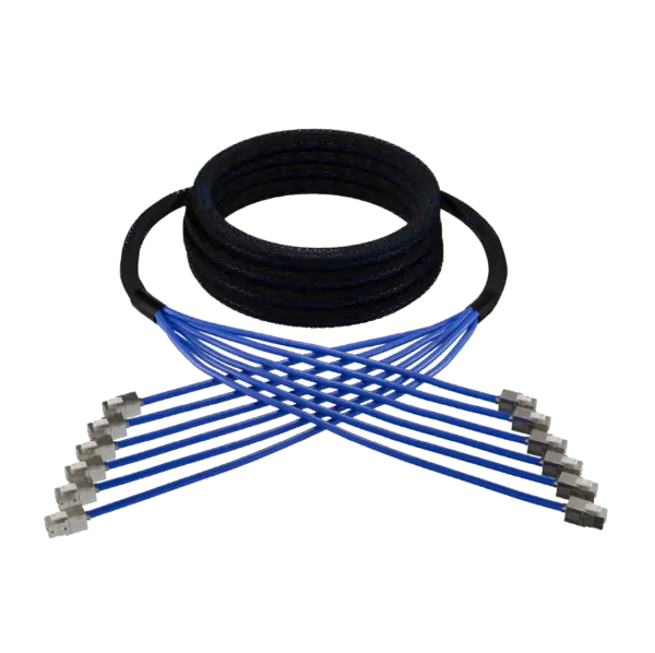 TrunkCable Keystone + Keystone